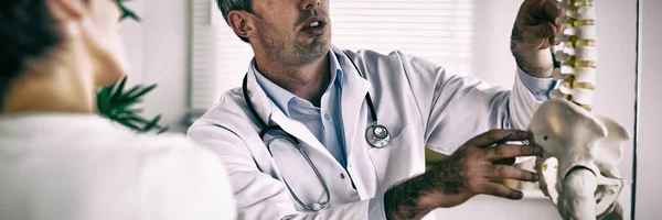 Doctor Showing Woman Part Spine Clinic — Stock Photo, Image