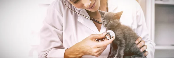 Atractivo Veterinario Examinando Gatito Con Estetoscopio Hospital — Foto de Stock