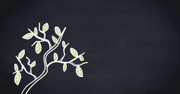 Digital Composite Tree Leaves Drawing Blackboard — Stock Photo, Image