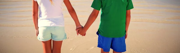 Vista Posteriore Dei Fratelli Che Tengono Mano Sulla Spiaggia Durante — Foto Stock