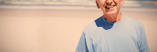 在阳光灿烂的日子中微笑老人在海滩的肖像 — 图库照片