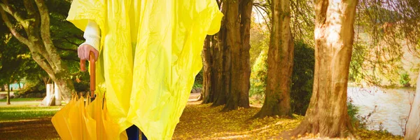 Mujer Con Impermeable Amarillo Sosteniendo Paraguas Contra Una Hilera Árboles — Foto de Stock