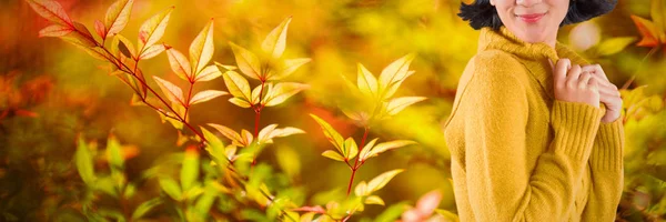 화창한 식물에 배경에 — 스톡 사진