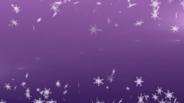 数字产生的雪花落在紫罗兰的背景上 — 图库视频影像