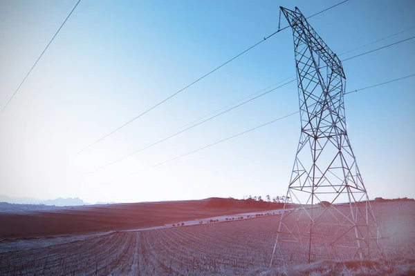 Evening Electricity Pylon Silhouette — Stock Photo, Image