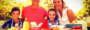 Yemek parkta güneşli bir günde sahip mutlu bir aile portresi
