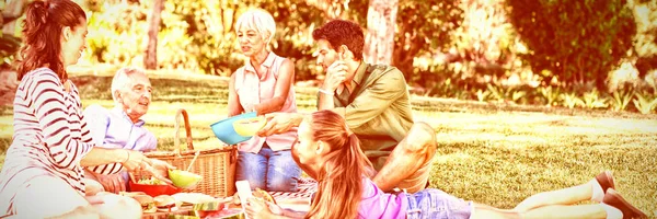 Счастливая Семья Устраивает Пикник Парке Солнечный День — стоковое фото