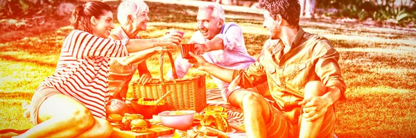 Boldog Család Pirítás Szemüveg Piknik Parkban Napsütéses Napon — Stock Fotó
