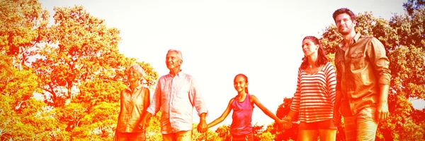 Family Holding Hands Park Sunny Day — Stock Photo, Image