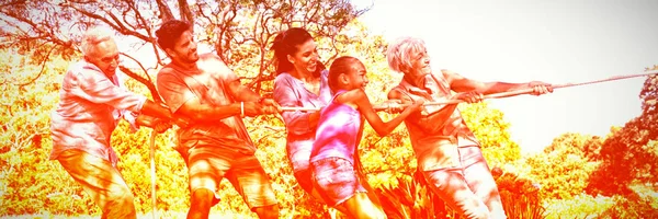 Sorrindo Família Jogando Rebocador Guerra Parque — Fotografia de Stock