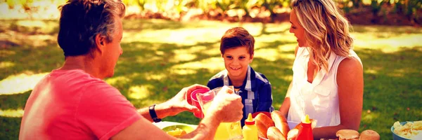 Familia Feliz Interactuando Entre Mientras Comen Parque Día Soleado — Foto de Stock