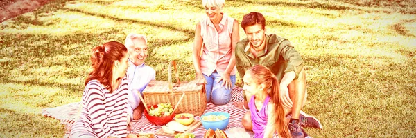 幸福的家庭 在晴朗的一天在公园里野餐 — 图库照片