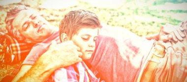 Baba ve oğul üzerinde park piknik battaniyeye güneşli bir günde uyku