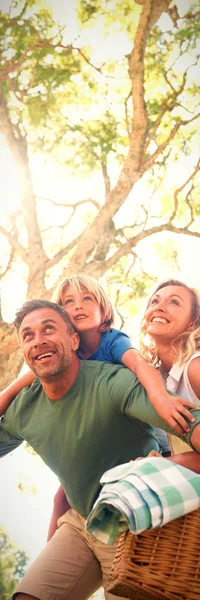 Famiglia Giocosa Che Arriva Nel Parco Picnic Una Giornata Sole — Foto Stock