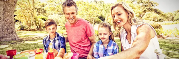 Glückliche Familie Beim Essen Park Einem Sonnigen Tag — Stockfoto
