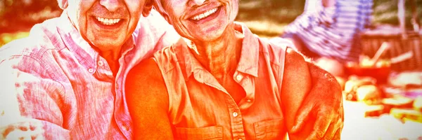Boldog Idősebb Pár Parkban Napsütéses Napon Portréja — Stock Fotó