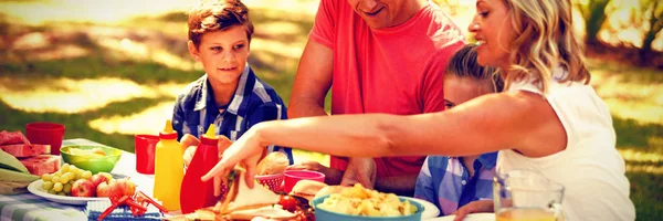 Mutlu Aile Yemek Parkta Güneşli Bir Günde Sahip — Stok fotoğraf