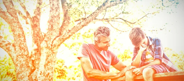 Vater Tröstet Seinen Sohn Bei Picknick Park Einem Sonnigen Tag — Stockfoto