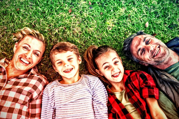Parkta çim üzerinde yalan mutlu bir aile portresi