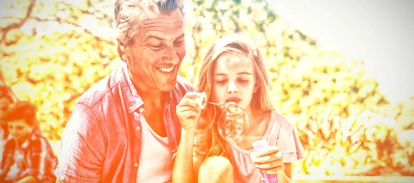 Щасливий Батько Дочка Дме Бульбашкою Паличкою Пікніку Парку — стокове фото