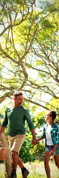 Familie Kommt Einem Sonnigen Tag Zum Picknick Den Park — Stockfoto