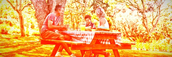 Boldog Család Kölcsönhatásban Egymást Miközben Étkezés Parkban Egy Napsütéses Napon — Stock Fotó