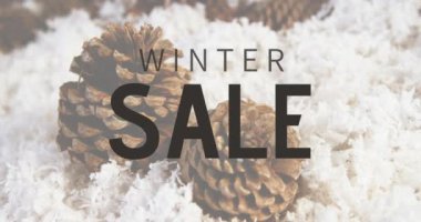 Kış satış ve çam kozalakları dijital olarak oluşturulan video