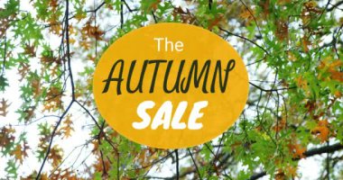 Sonbahar satış ağaç 4k üzerinde dijital olarak oluşturulan video