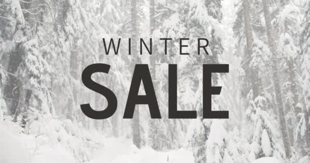 Digitally Generated Video Winter Sale Snowfall — Stock Video