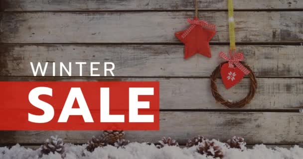 Digitally Generated Video Winter Sale — Stock Video