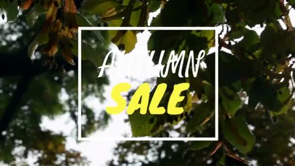 Digitálně Generované Video Podzimní Prodej Přes Strom — Stock video