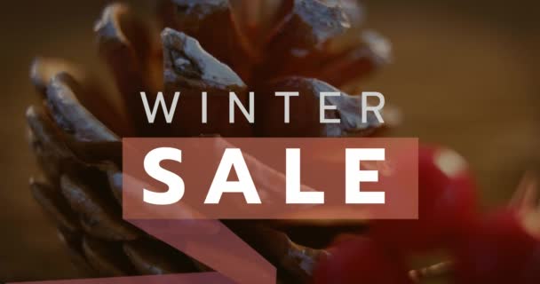 Ψηφιακά Παραγόμενη Βίντεο Του Χειμώνα Πώληση Πάνω Διακόσμηση Χριστουγέννων — Αρχείο Βίντεο