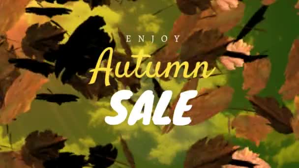 Digitally Generated Video Autumn Sale — Stock Video