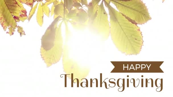 Digitalt Genererade Video Happy Thanksgiving Text Över Blad — Stockvideo