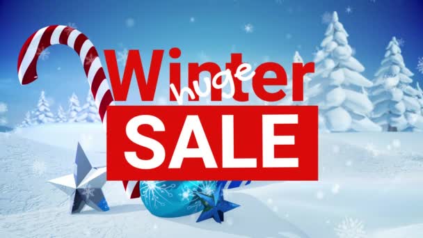 Digitally Generated Video Winter Sale Text — Stock Video