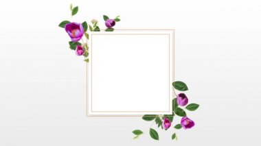Çiçekler beyaz arka plan ile boş çerçeve