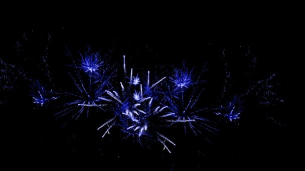 feu d'artifice festif la nuit 