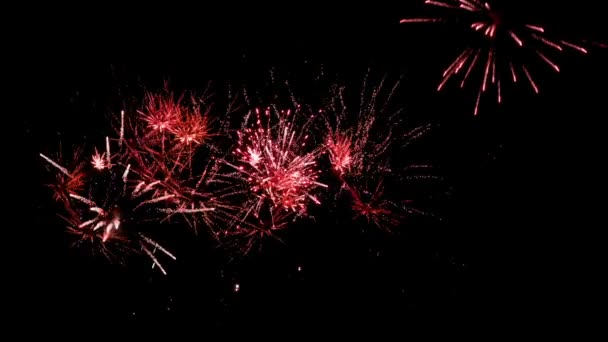 Feestelijke Vuurwerk Nachts — Stockvideo