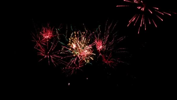 Feestelijke Vuurwerk Nachts — Stockvideo