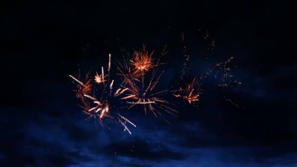 Festliches Feuerwerk Der Nacht — Stockvideo