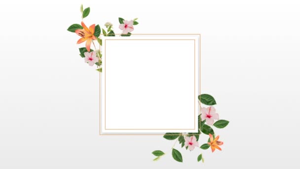 Κενό Πλαίσιο Λουλούδια Ενάντια Λευκό Φόντο — Αρχείο Βίντεο