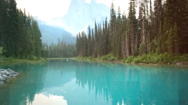 Digital Generiertes Video Von Fluss Und Bäumen — Stockvideo