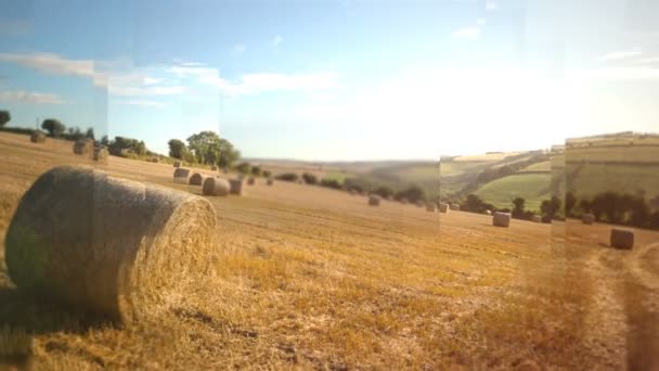田舎フィールドで干し草のデジタル生成ビデオ — ストック動画