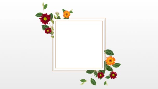 Cornice Bianca Con Fiori Sullo Sfondo Bianco — Video Stock