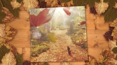 Ormanda Güz sezonunda düşen yaprakları gösterilen sonbahar yaprakları ile çevrili ekran dijital olarak oluşturulan video