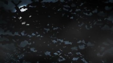 Cadılar Bayramı mesajı ile mezarlığında için korkutucu yarasalar animasyon