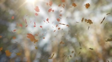 Dijital olarak düşen sonbahar yaprak doğa arka plan karşı oluşturulan