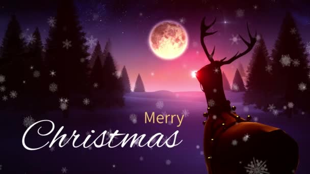 Digitálisan Létrehozott Videó Merry Christmas Szöveg Rénszarvasok Húzza Szánkó — Stock videók