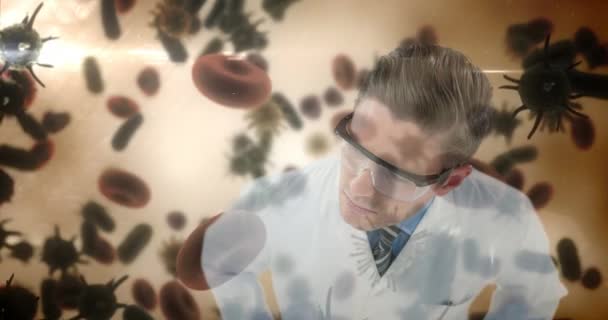 Цифрове Композитне Відео Вченого Вивчає Бактерії Інфекційні Клітини — стокове відео