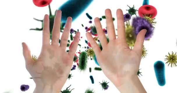 Close Hands Blood Cells Bacteria Cells Blood Stream — Stock Video